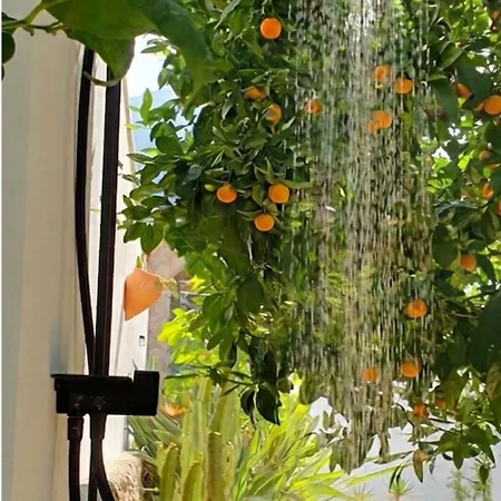 Casa El Montcel, A Unique With Roofterrace And Shared Pool Denia